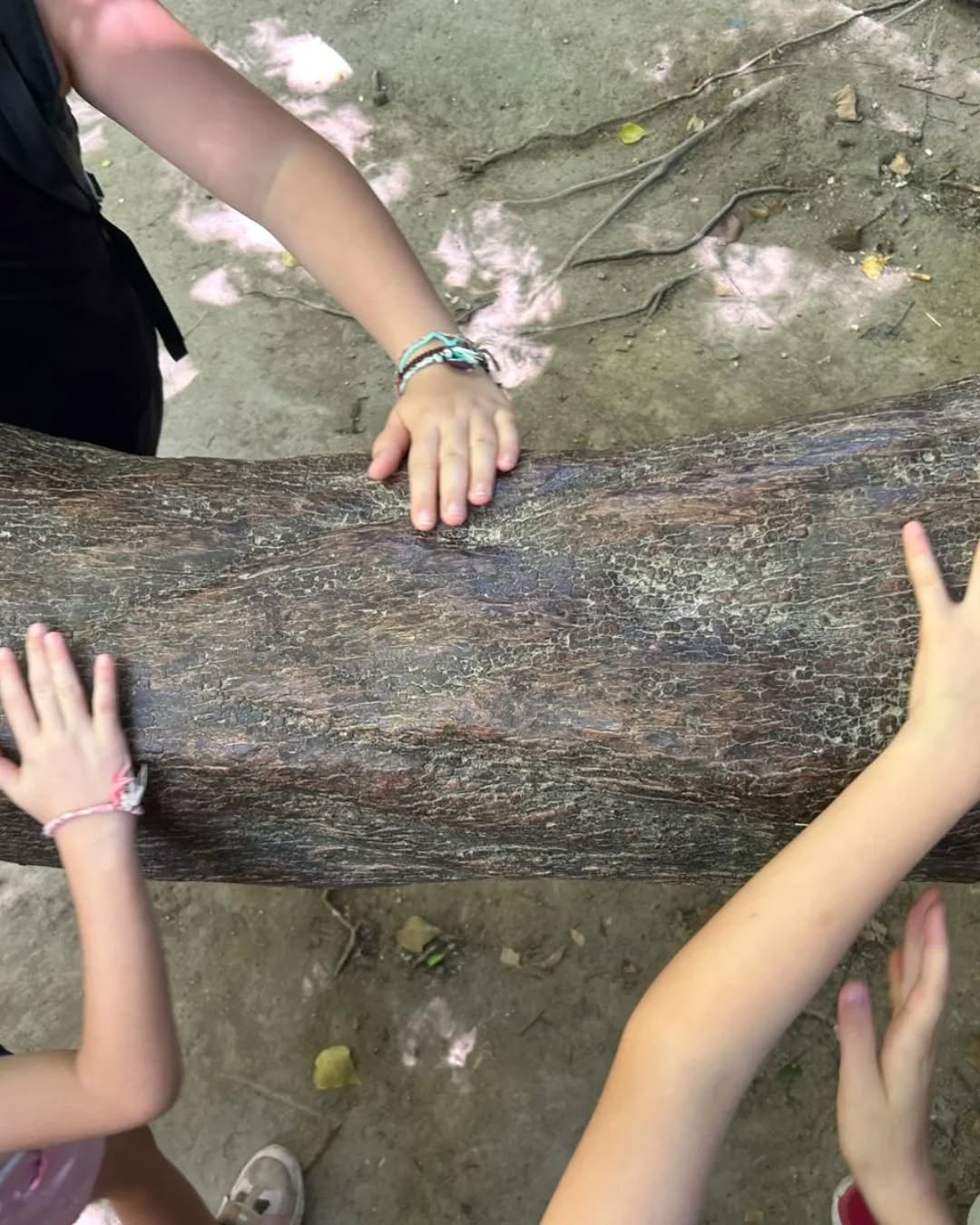 Bambini in attività con la natura